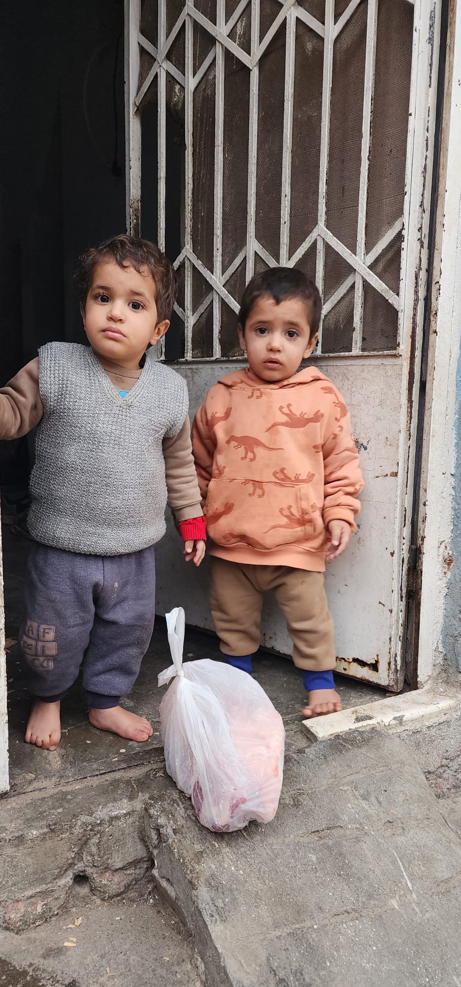 WhatsApp Image 2026-01-28 at 11.52.52